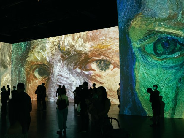 Immersive Art Vs Protected Artworks: Balancing Engagement with Preservation